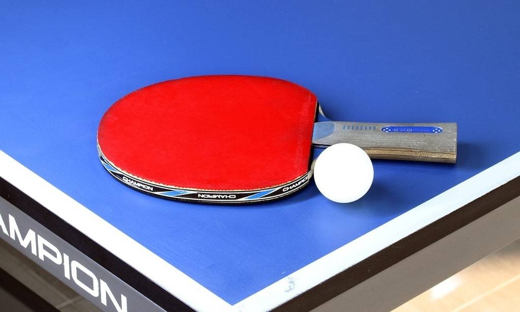 Faire découvrir le tennis de table aux plus jeunes